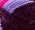 Morado Claro