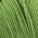 Verde Otoñal